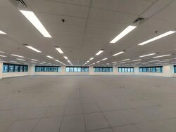 Robinson 77 (D1), Office #593488631